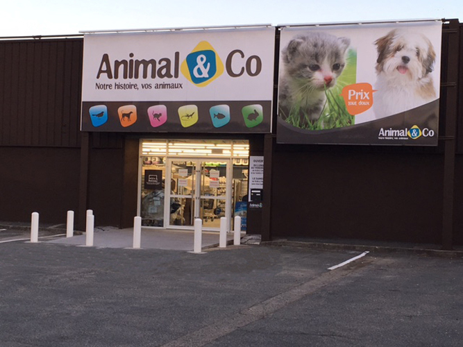 Animal & Co ouvre un 9e magasin à Anglet - lepetiteconomiste.com