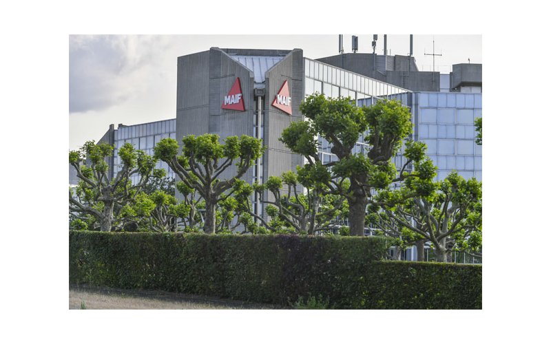 Le Groupe MAIF opte pour l'entreprise à mission Le Groupe MAIF opte pour l'entreprise à mission